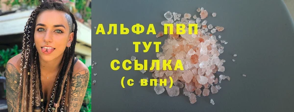 гашик Осинники