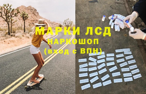 гашик Осинники