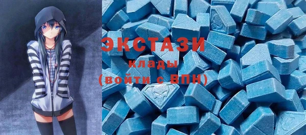 индика Ижевск