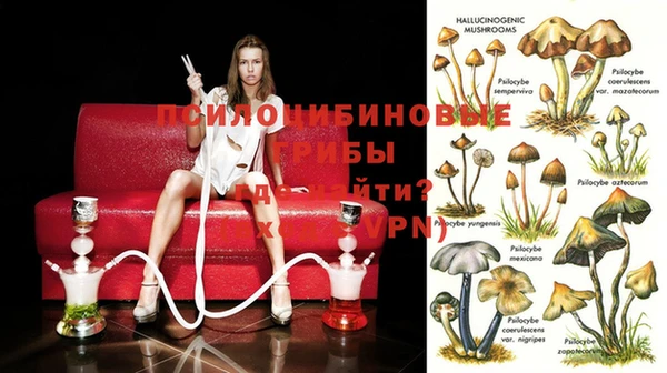 дурь Остров