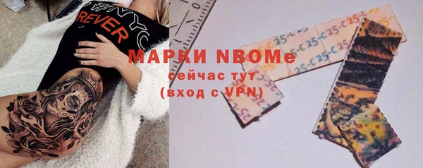 гашик Осинники