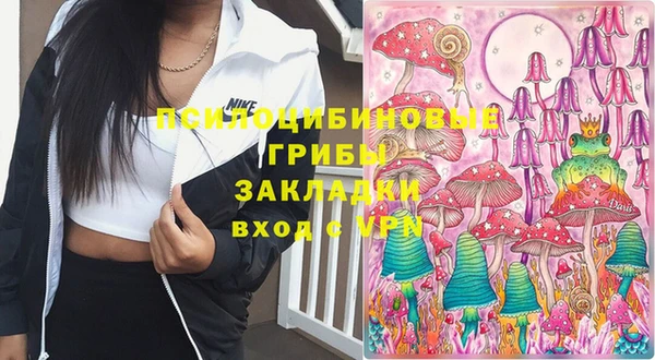 гашик Осинники