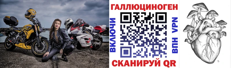 Псилоцибиновые грибы Psilocybe  Советский 