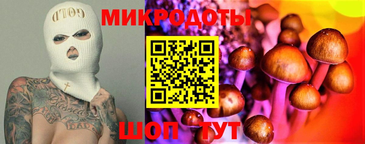 Галлюциногенные грибы Psilocybine cubensis Советский